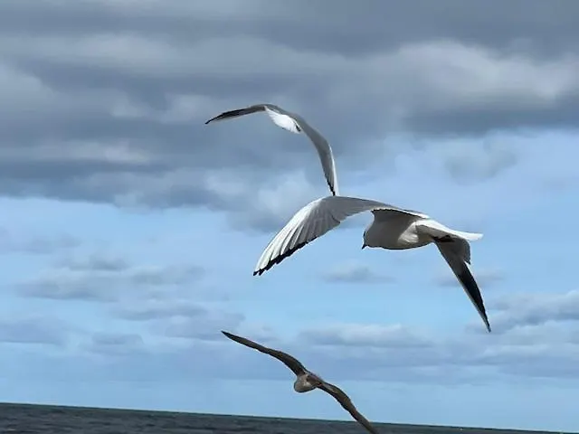 Apartament Przy Plaży, Widok Na Morze I Latarnię, Morska 5 *