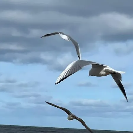 شقة Przy Plazy, Widok Na Morze I Latarnie, Morska 5 *